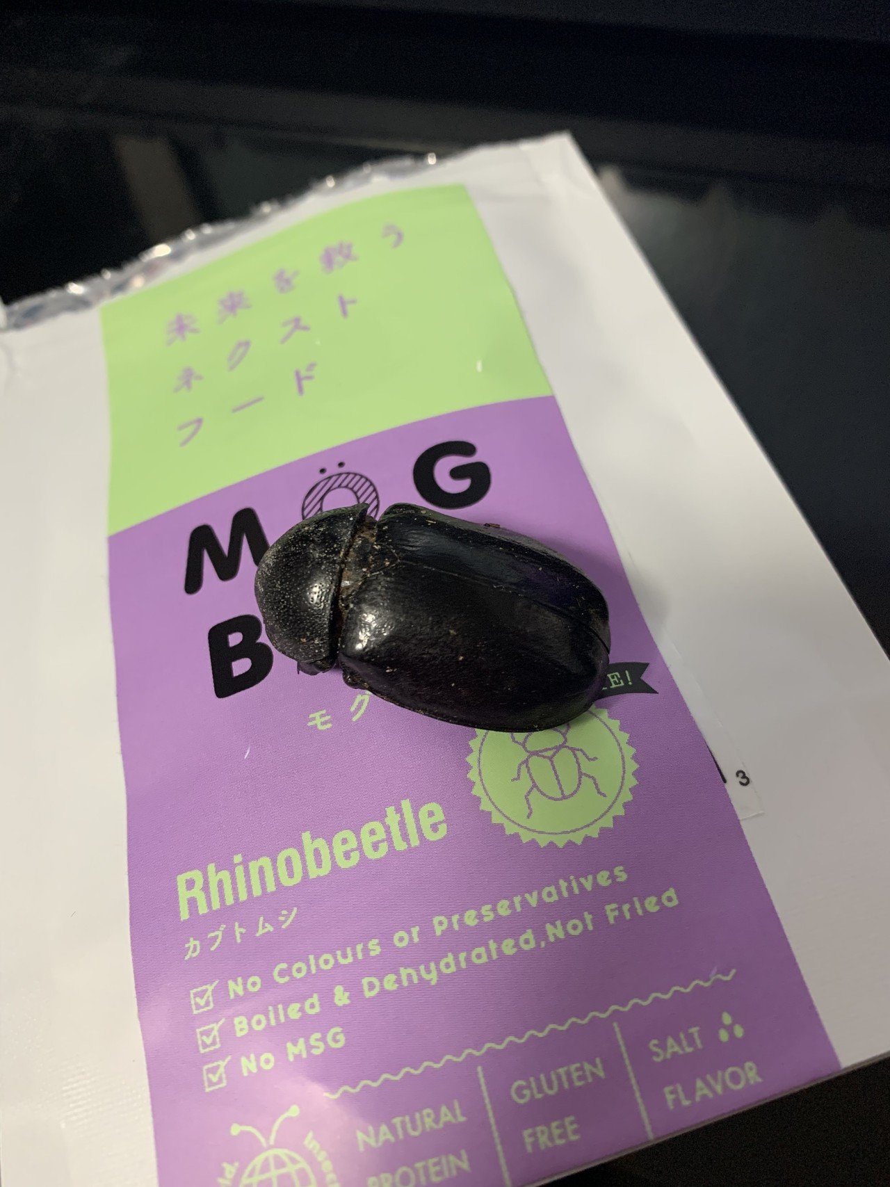 約40匹！カブトムシクワガタムシ 標本まとめ売り やせ