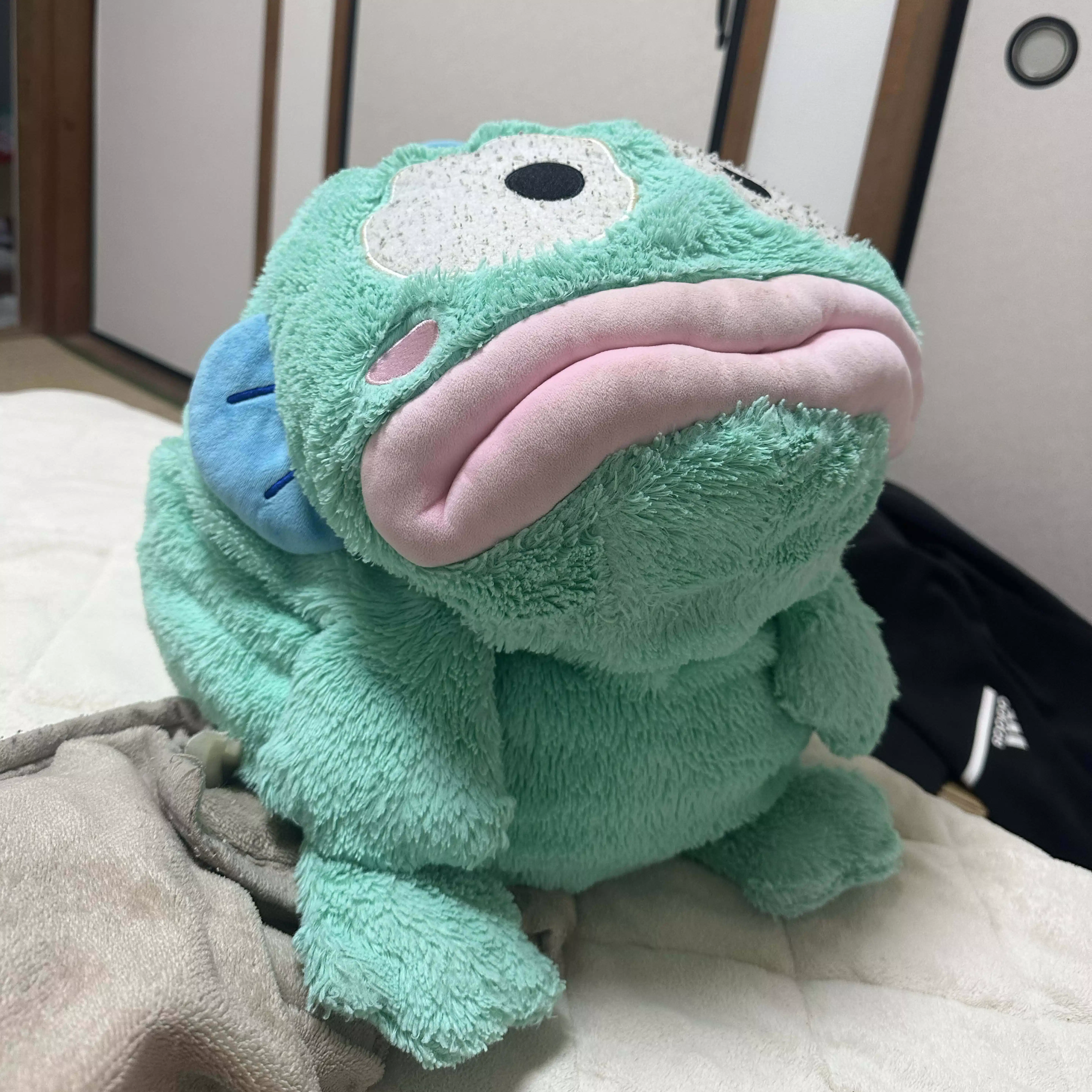 なあの🍑ྀི