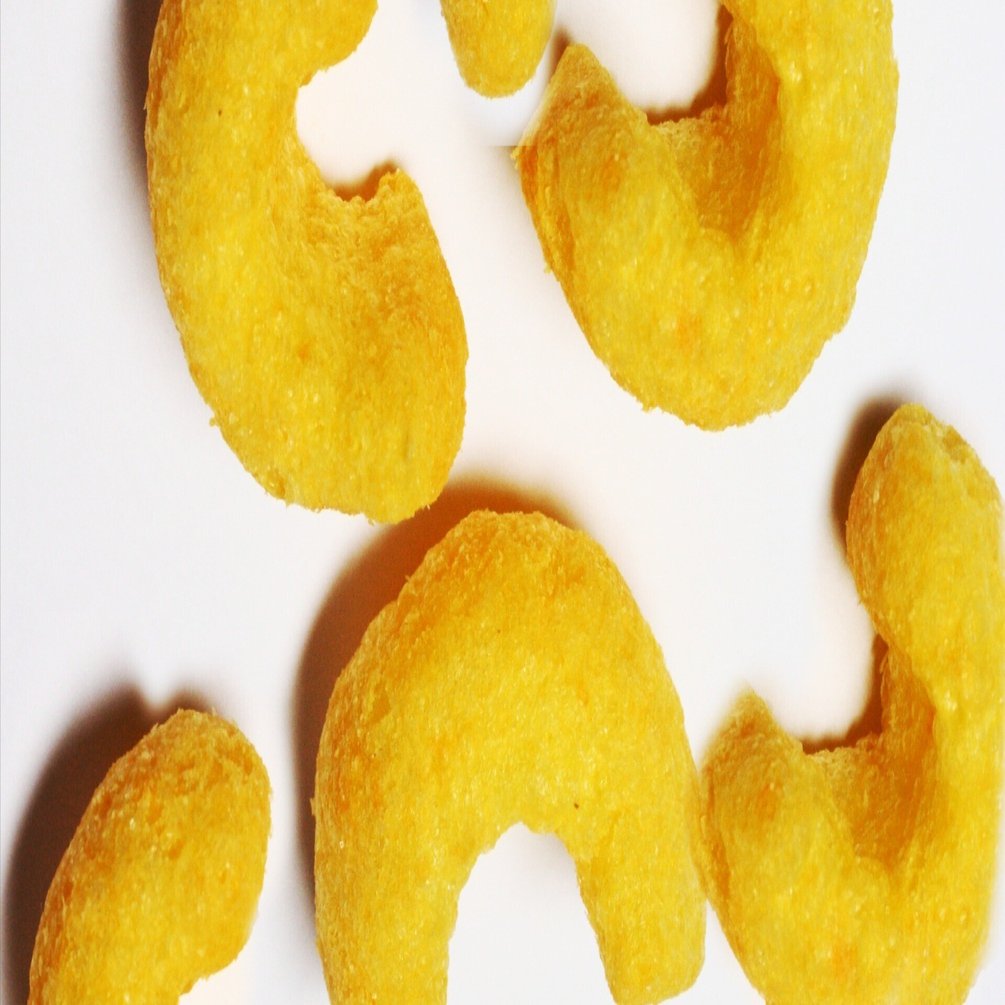 日記12/29 思い出の虫｜あくしろう