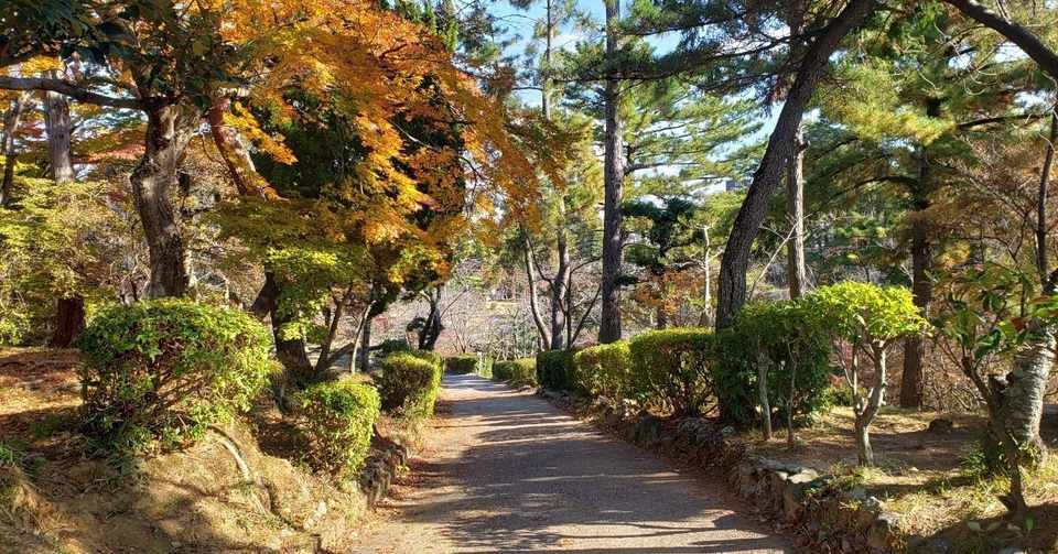 小学1年生 作文の基本 なみ Note