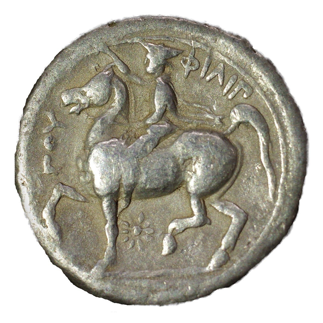 アンティークコインの世界 〜アレクサンドロス大王追悼銀貨〜｜Shelk🦋