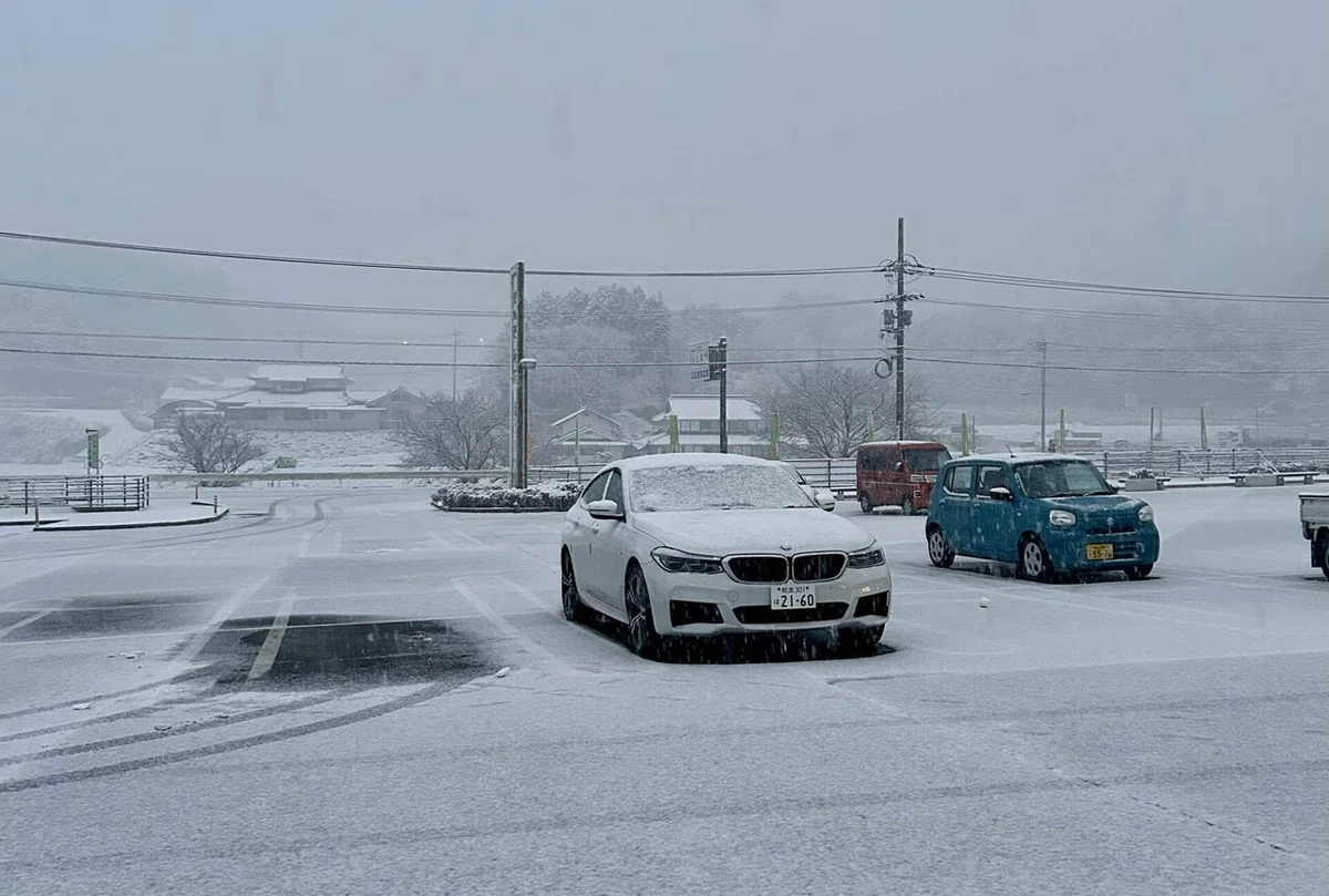 車に積もった雪