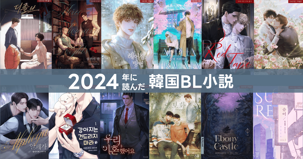 2024年に読んだ韓国BL小説＜12選＞｜😎