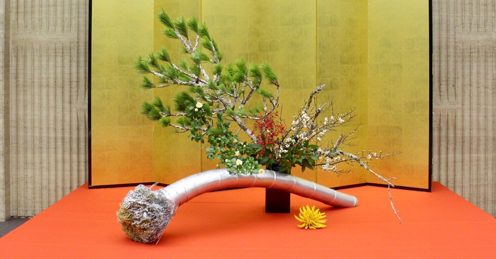 b447ac84889ac50bbe7856e8a7f6d5