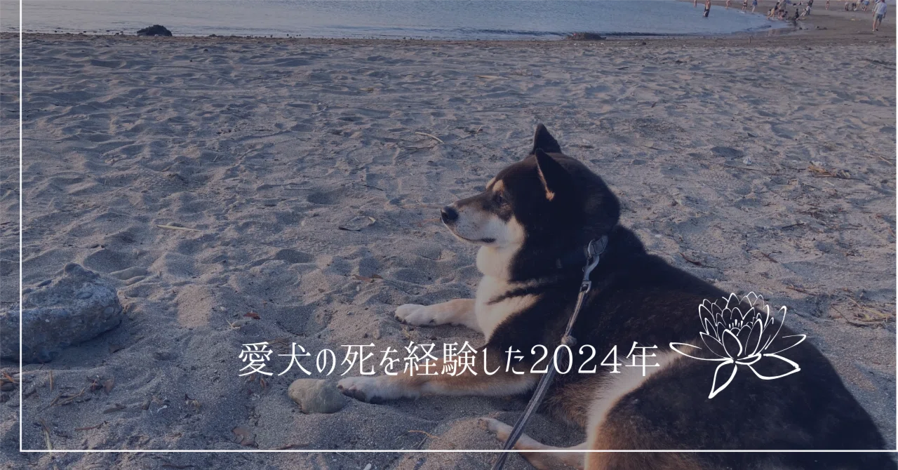 愛犬の死を経験した2024年｜リエゾン（みうらりえ）