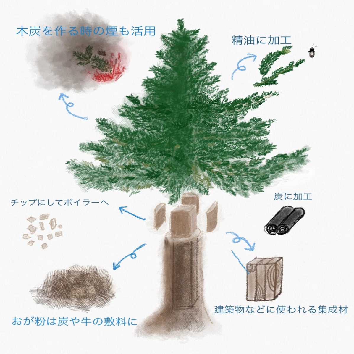 下川町が60年以上 林業 林産業のトップランナーである理由 下川町公式 Note