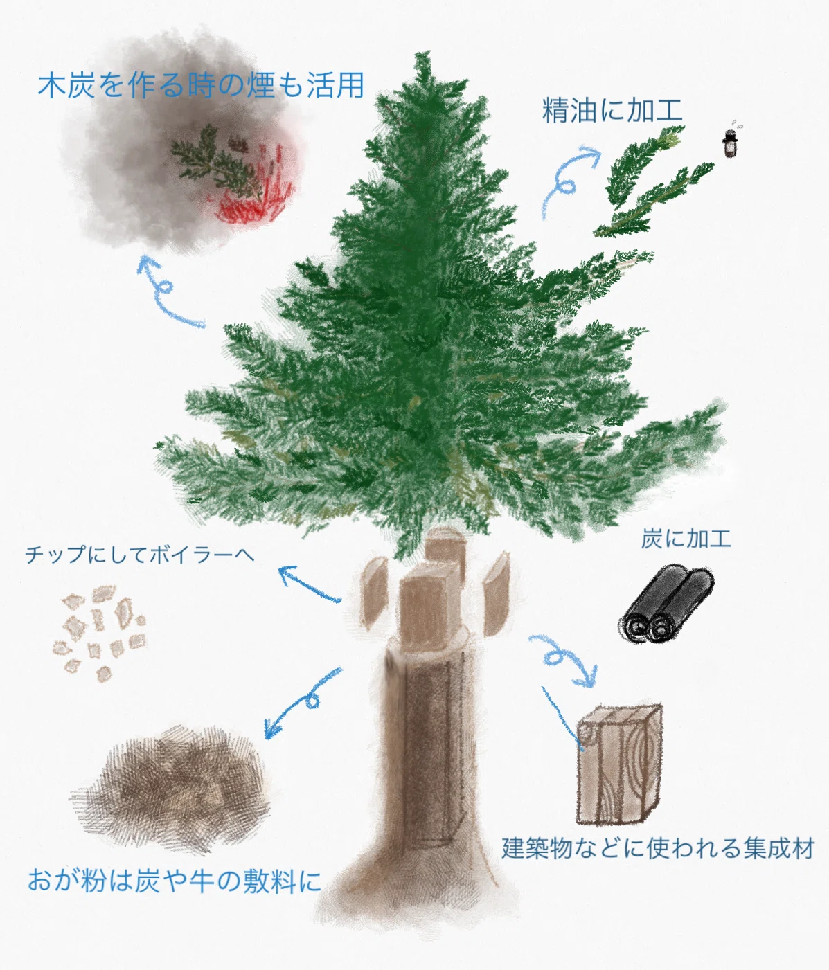 下川町が60年以上 林業 林産業のトップランナーである理由 下川町公式 Note 下川町が60年以上 林業 林産業のトップランナーである理由 下川町公式 Note