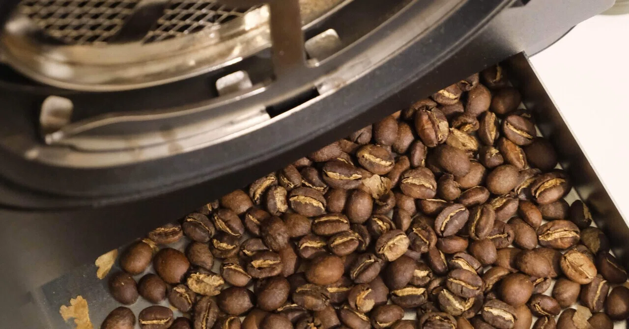 自分のコーヒーを初めて誰かに飲んでもらうドキドキ｜YORIGI COFFEE の 