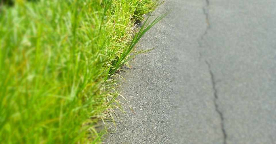 愚痴と雑草は何度対処しても終わらない かわさき 土竜 Note