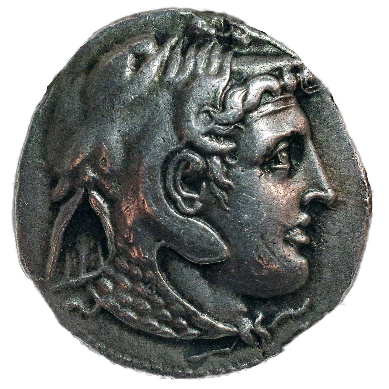 アンティークコインの世界 〜アレクサンドロス大王追悼銀貨〜｜Shelk🦋