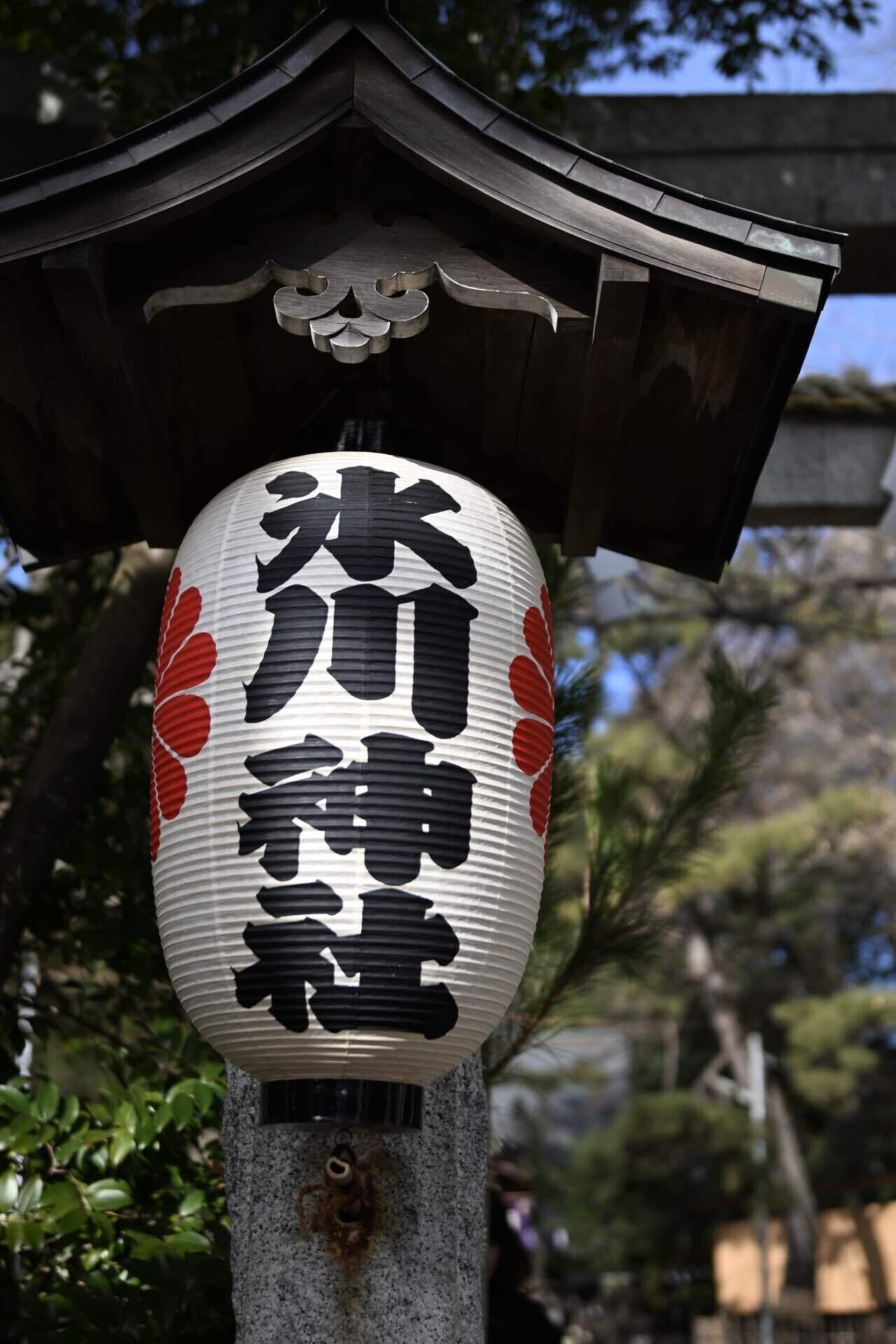 SIGMA 28mm F1.4 DG HSM | Artにて撮り歩き|syska SIGMA 28mm F1.4 DG HSM | Artにて撮り歩き|syska