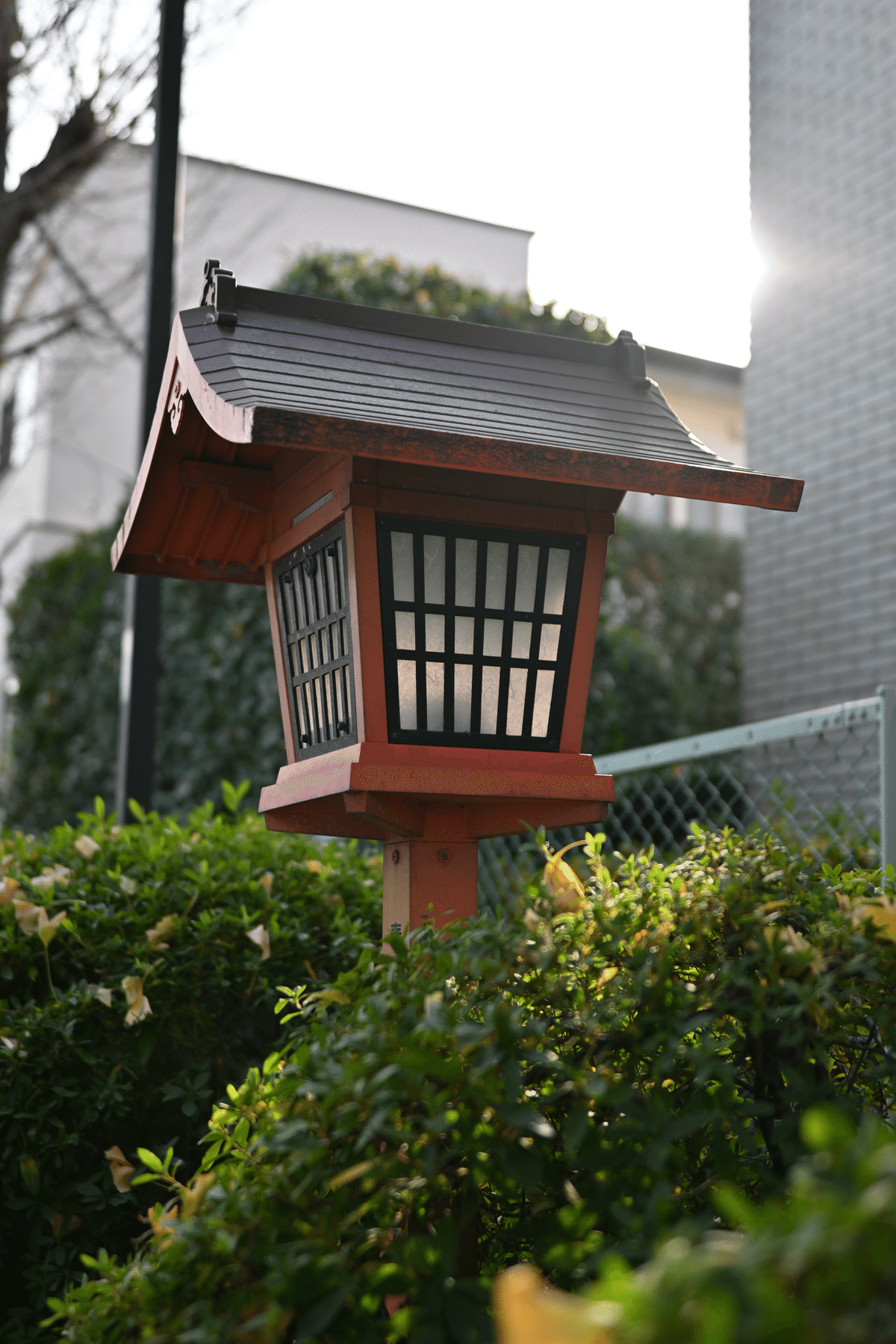 SIGMA 28mm F1.4 DG HSM | Artにて撮り歩き|syska SIGMA 28mm F1.4 DG HSM | Artにて撮り歩き|syska