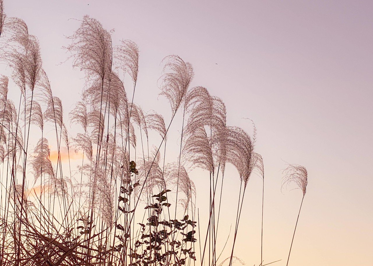 何もない日は過去写真から 秋らしい景色の一部を Heroxx Note