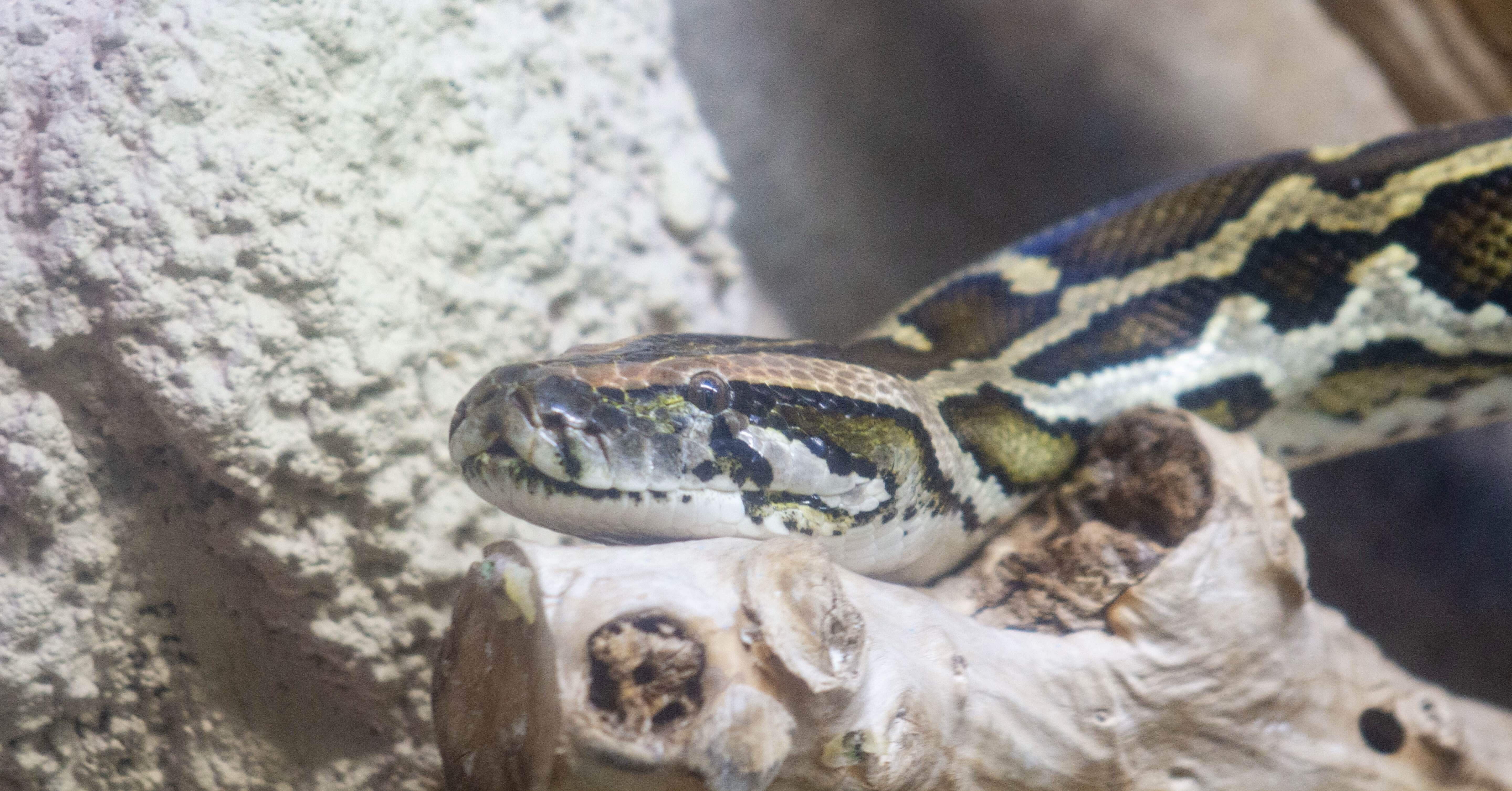 ca684a6b12ad2718805fddc22780e7