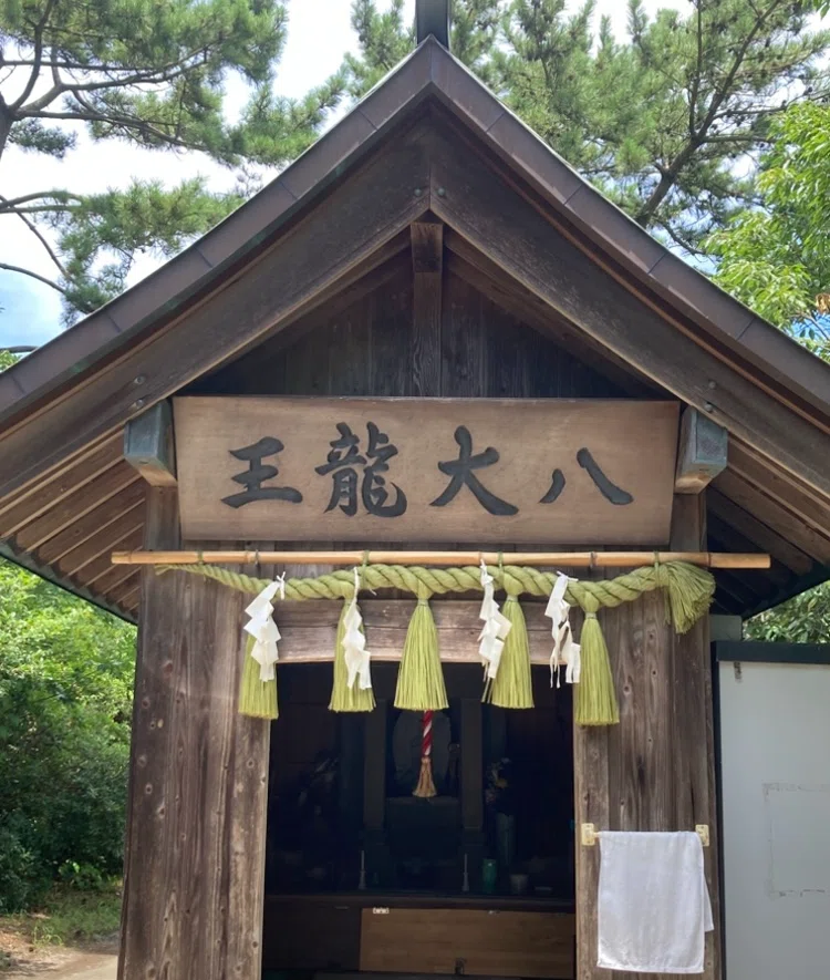 八大龍王｜sachi