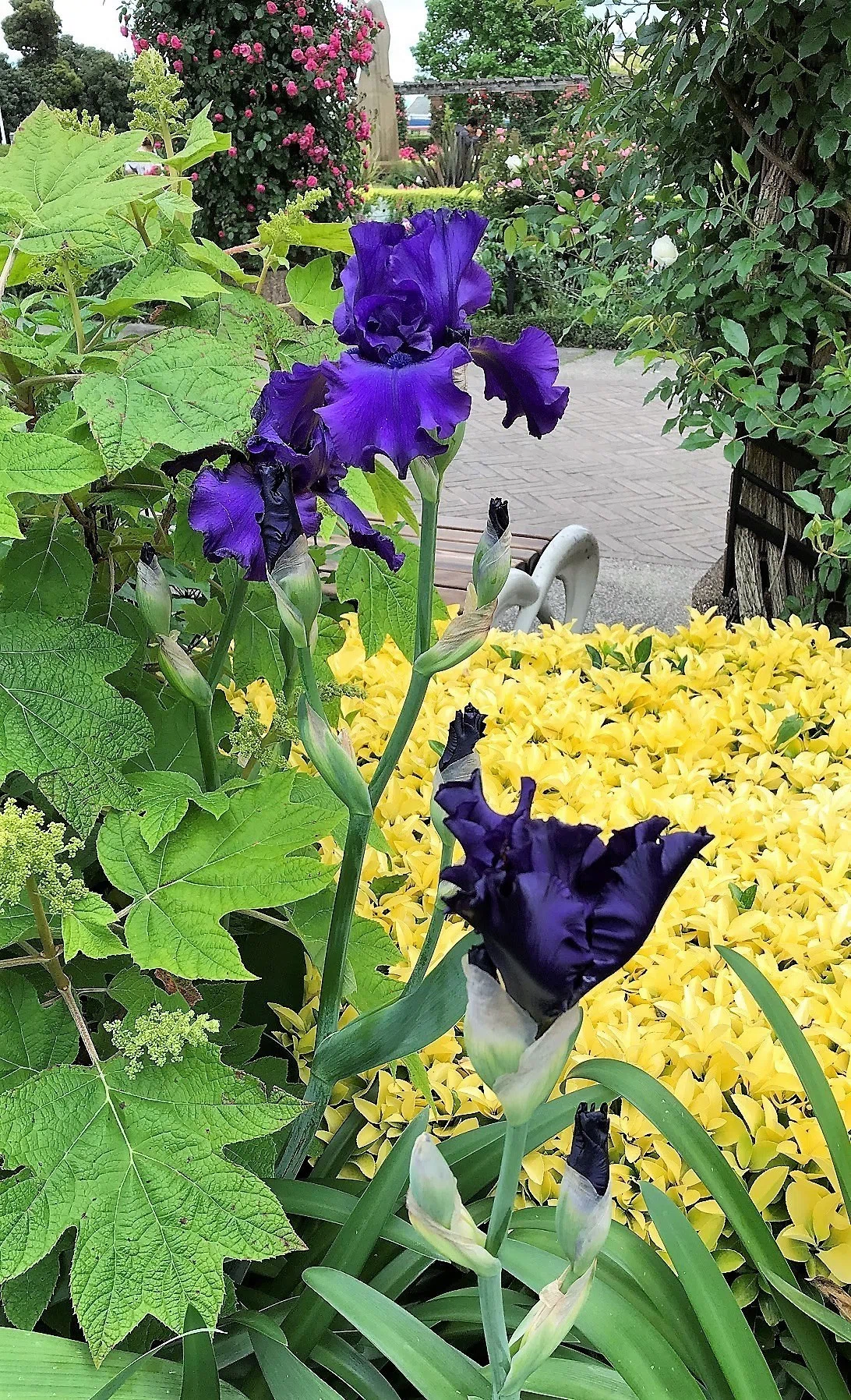 画像14