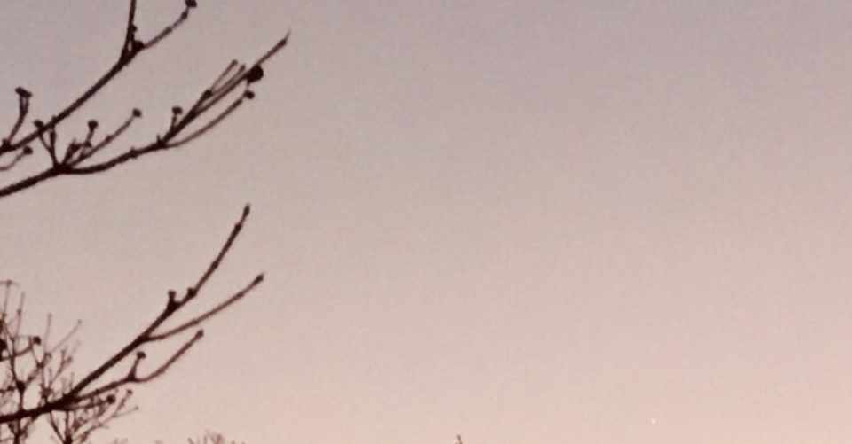 たくさん食べても太らない美味しい食べ物 こざるカフェの日々ウールー Note