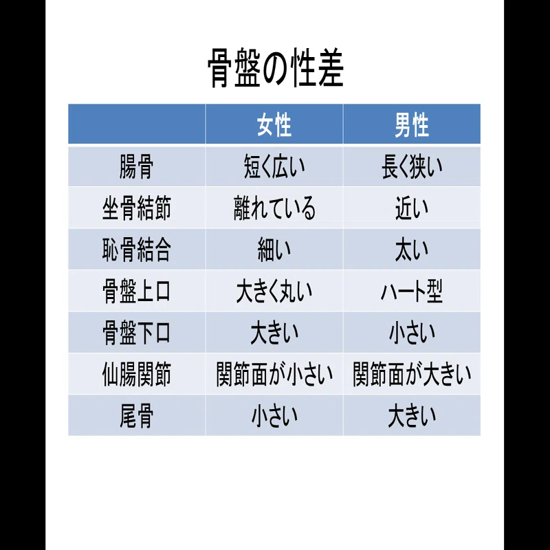 基礎から学ぶ骨盤帯 Lee Note
