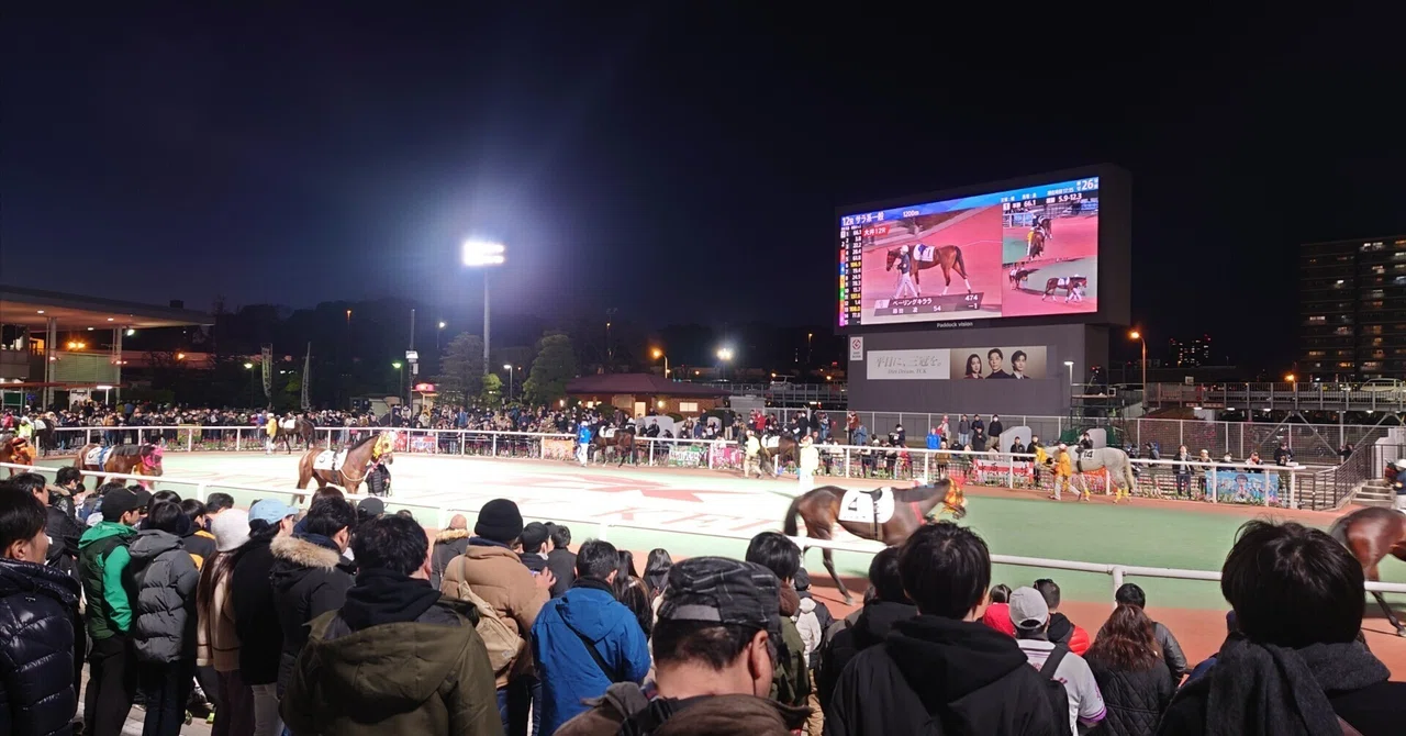 1年間「単勝」を買い続けた結果(2024年)｜ただやす