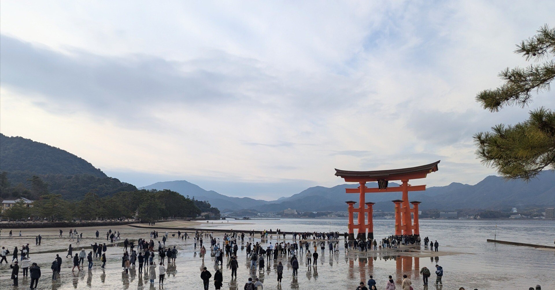 1136c4e111cfb915a39c41fddf5e89