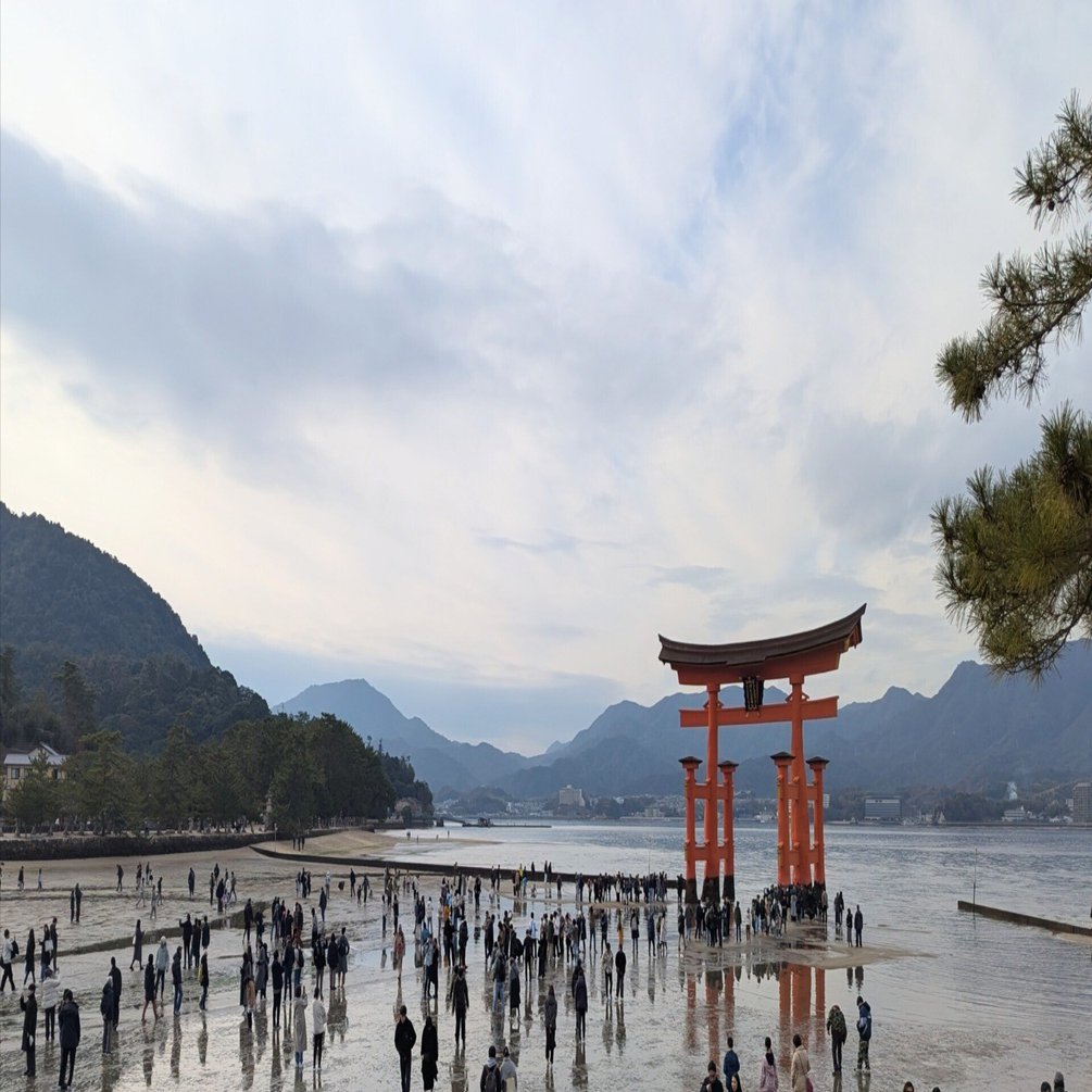 久しぶりの厳島神社 ⛩️2024｜しろくまん🌙*