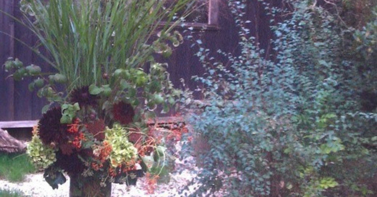 パリの花留学 Aoyama Flower Market Paris Report Note