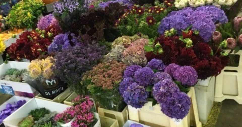 パリの花事情を学んできました Aoyama Flower Market Paris Report Note