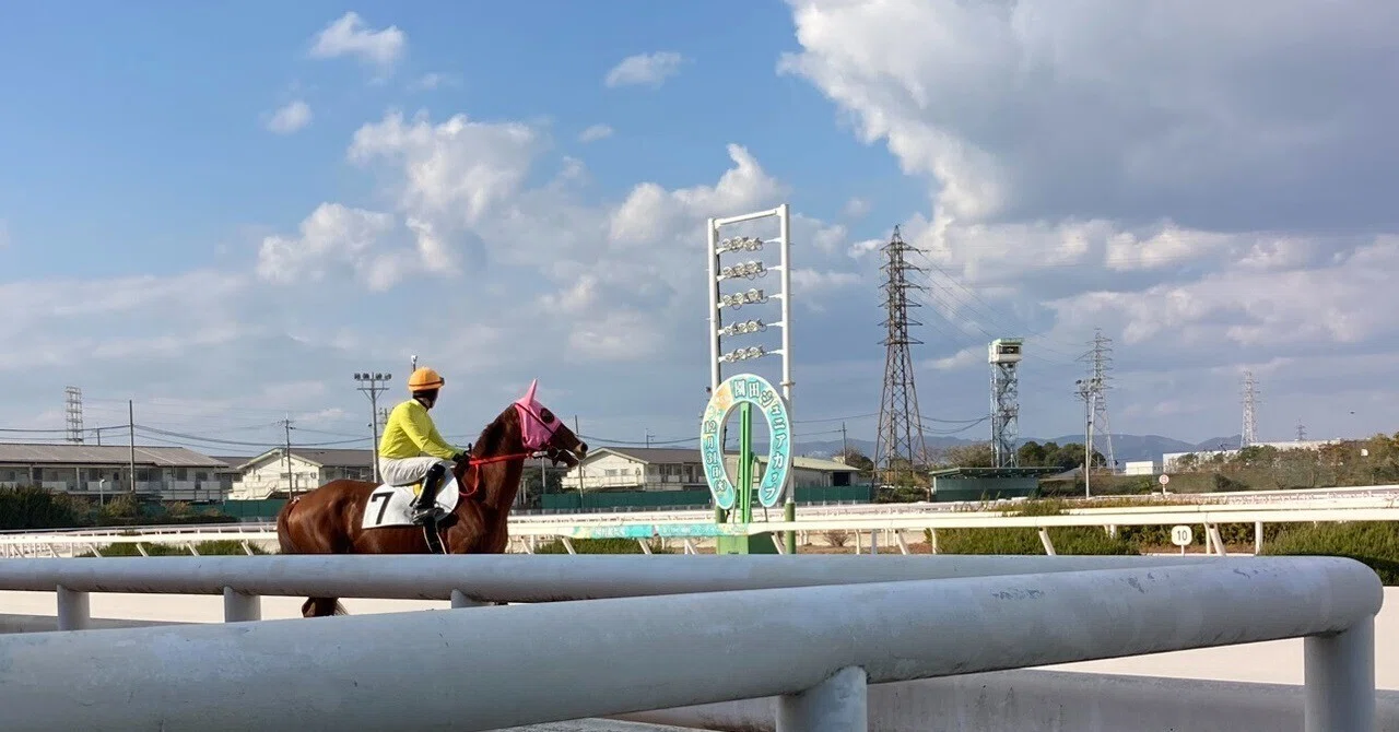 初めての園田競馬場現地観戦の雑多メモ（2024/12/31）｜師走