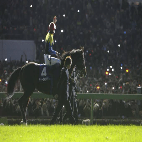 2025年の抱負］ディープインパクトの姿を見て｜相徳夏輝 (あいとくなつき)