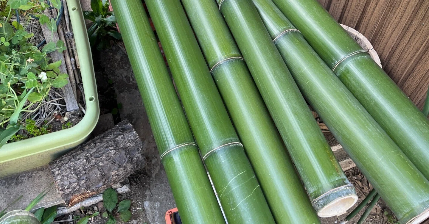 晒し竹を作る〜竹の油抜き｜中條マキコ