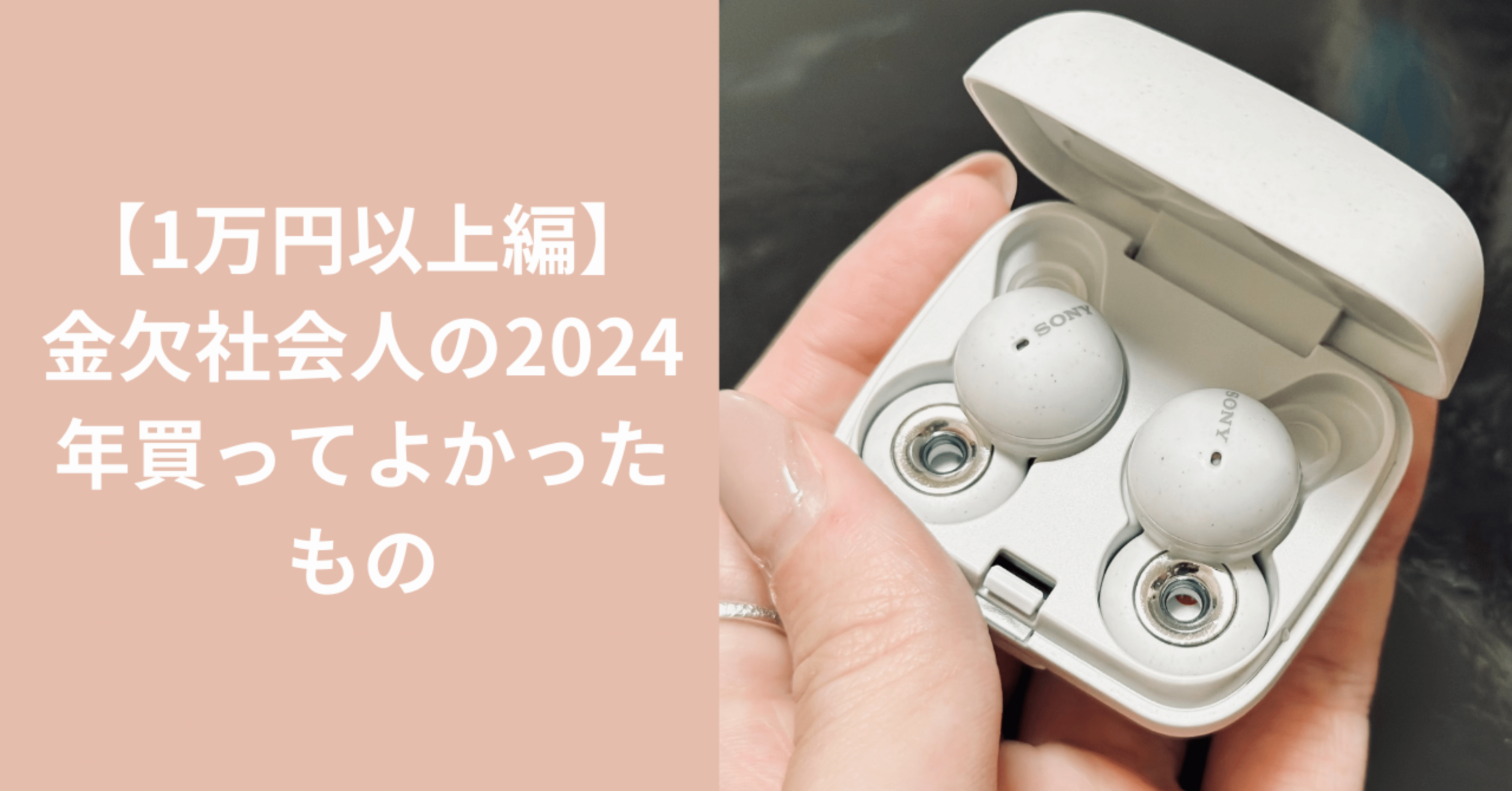 10,000円以上編】金欠社会人の2024年買ってよかったもの｜豊穣