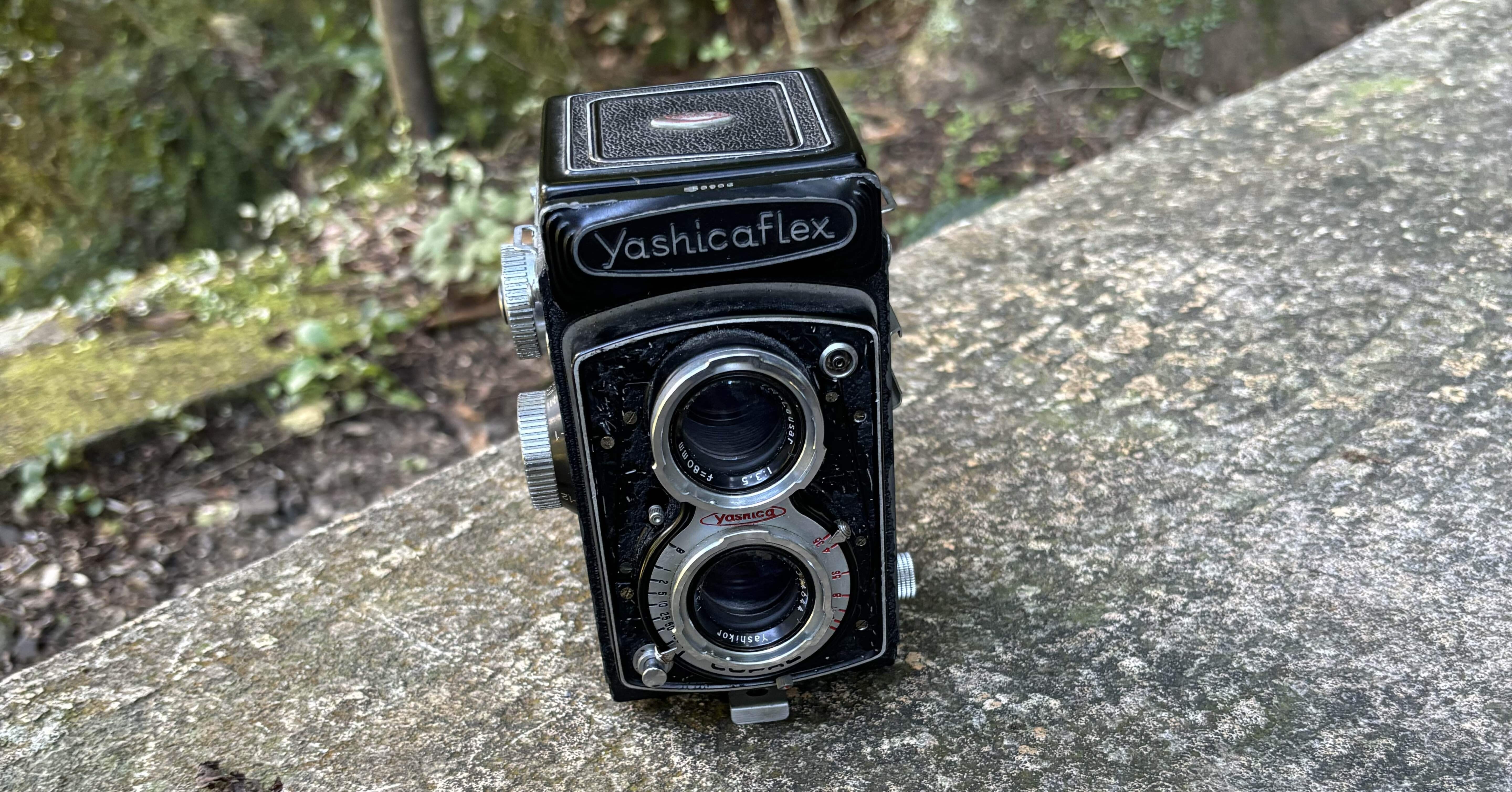 491e8636775d910242bee1fbb9e04a