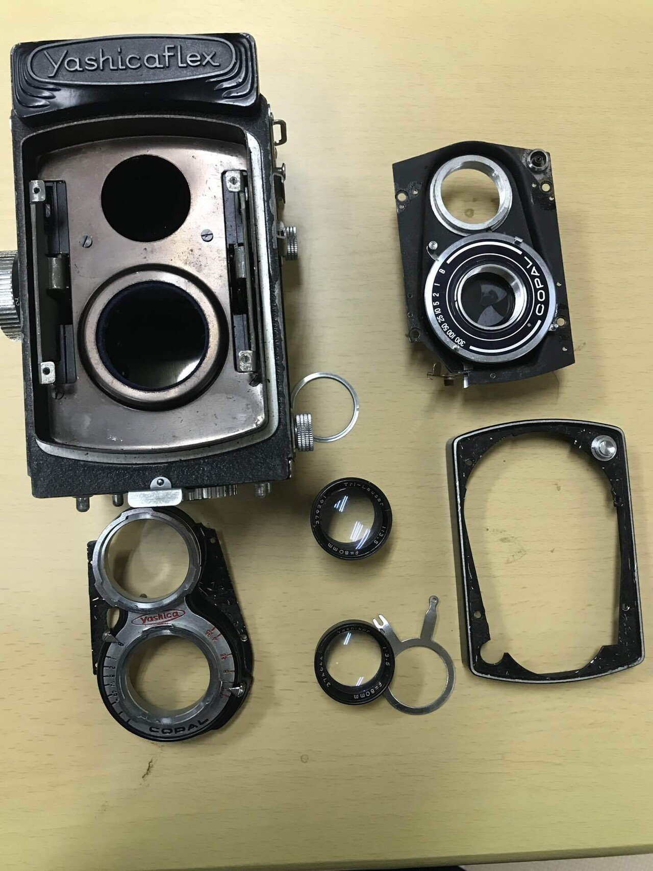 1955年発売のフィルムカメラ｜腎臓内科医の休日記録