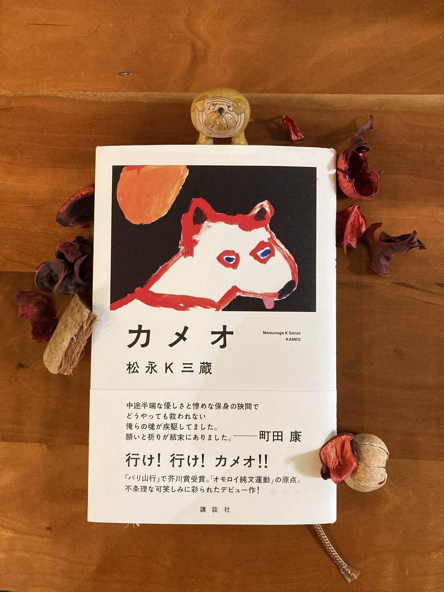 松永K三蔵さん『カメオ』読了！今回も一気に読みました。全部良かった