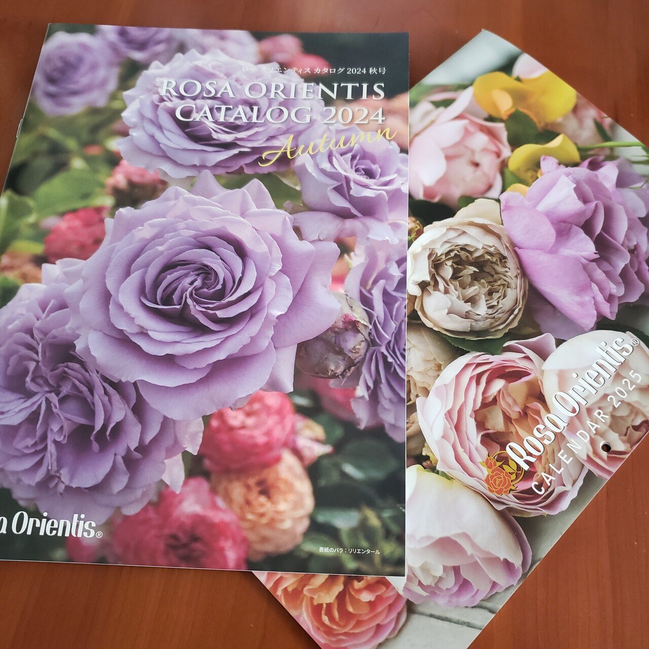 しずく shizuku – WABARA online store