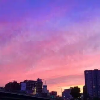 柊夕陽