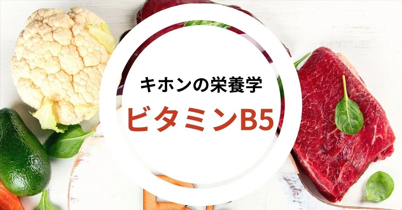 Pantothenic Acid (Vitamin B5)｜JUNYA/パーソナルトレーナー