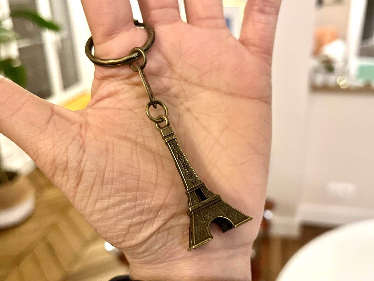 世界一周day99「凱旋門での年越しが叶わずエッフェル塔で年越し」in