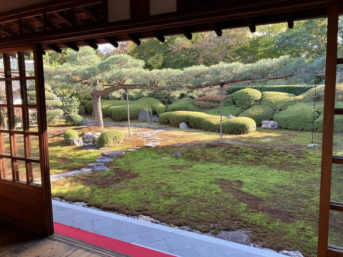 2024 錦秋の京都・重森三玲のお庭をまだまだ見たい旅・6 東福寺塔頭一華院|ハト子