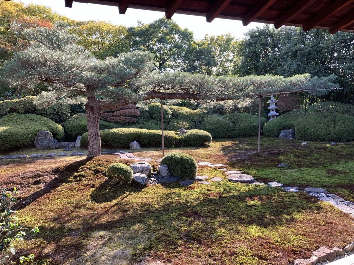 2024 錦秋の京都・重森三玲のお庭をまだまだ見たい旅・6 東福寺塔頭一華院|ハト子
