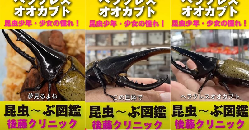 ヘラクレスオオカブト」の人気タグ記事一覧｜note ――つくる