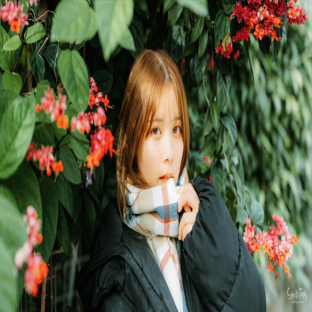 溢れ出る全能感 FE 28-70mm F2 GM レビュー その1｜takumi shiotani