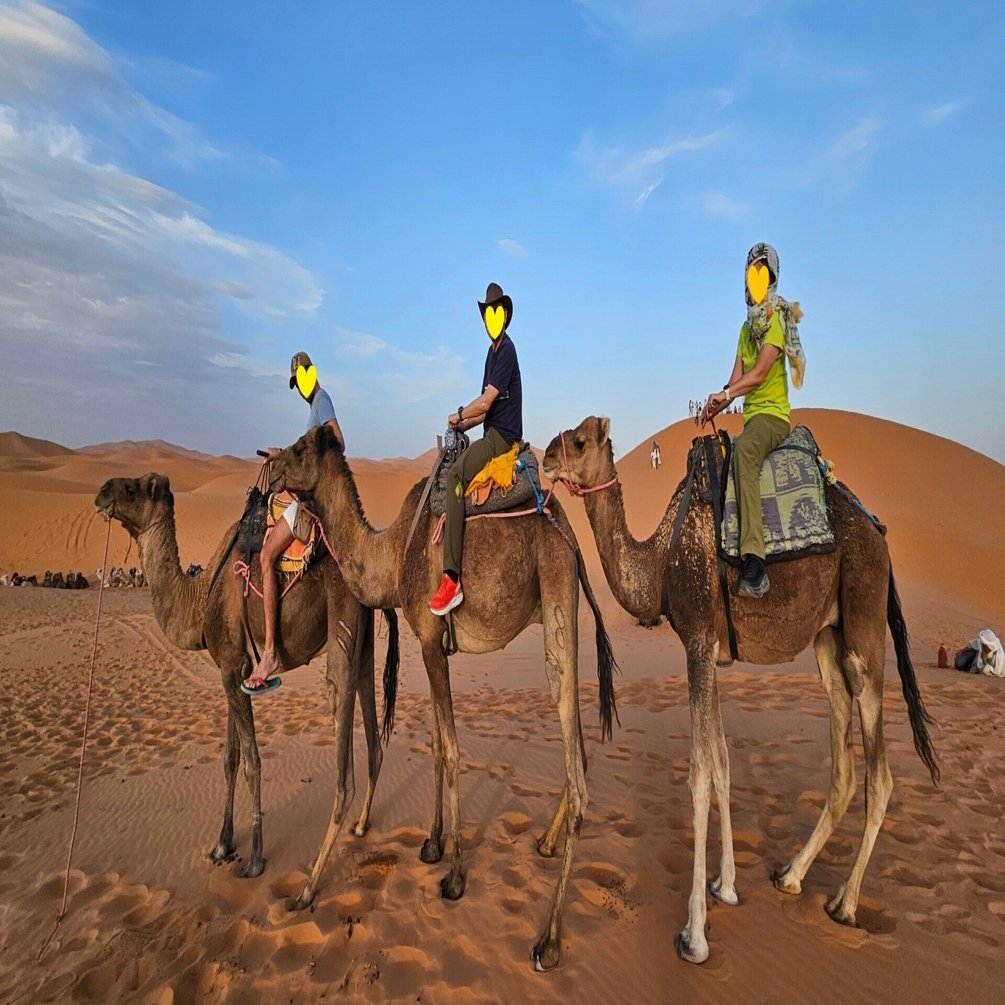 モロッコ／エルファードからメルズガへ シニアのドキドキ海外旅行