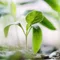 未来のリーダーが知っておくべきことを心理学と生物学で読み解く
