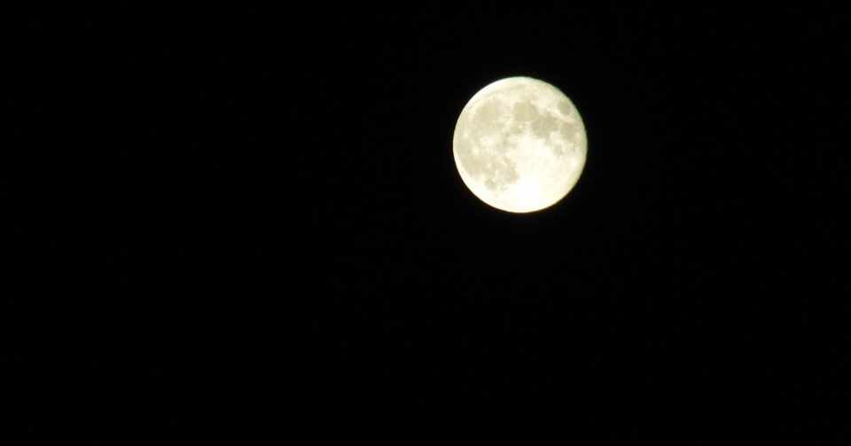 今夜は月が綺麗ですね 猫野サラ Note
