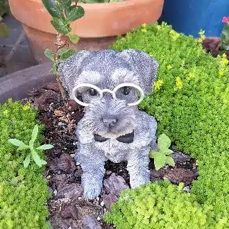 笑ふ^^