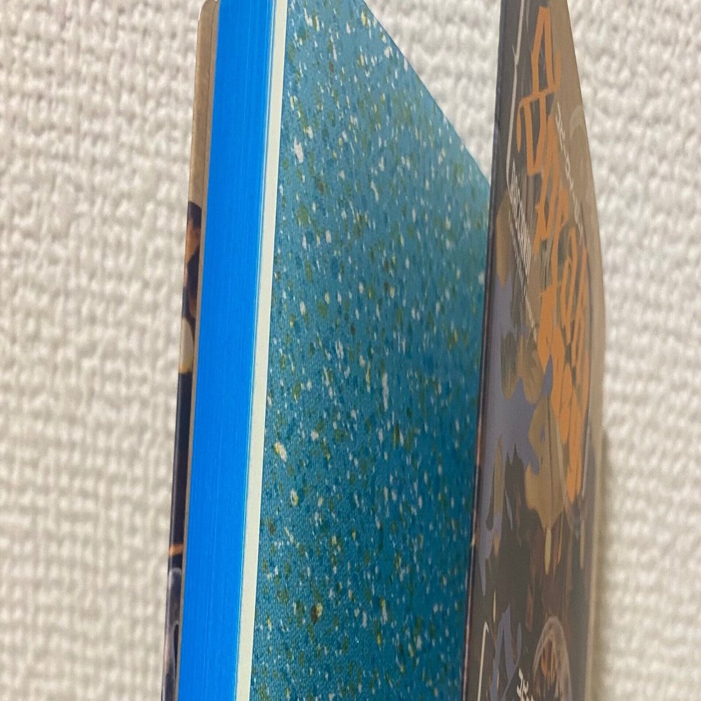 10年ぶりに再燃したジャンルで出した本の装丁｜寿瀬