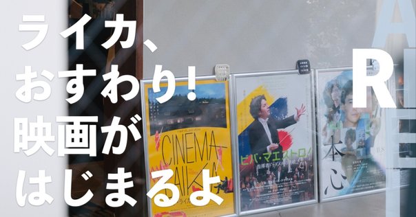 【絶版】アキ・カウリスマキ Amazon.co.jp: アキ・カウリスマキ