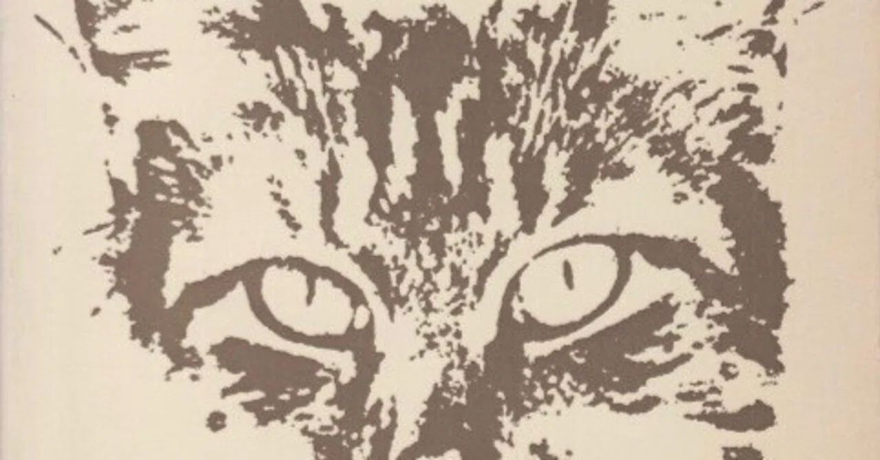 シムノン『猫』｜Eugênio Sibaccio