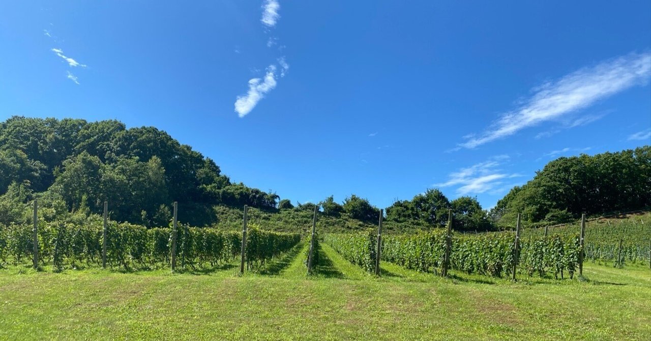 naritaya vineyard 白ワイン　2024 同梱可能 限定白】naritaya Asahidai 245 Blanc Épisode 3 2024 ※お1人様1